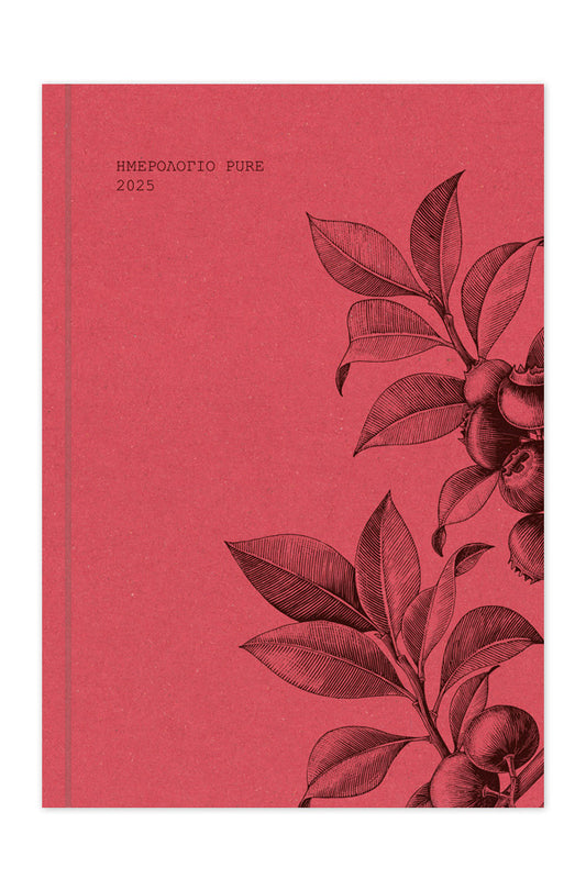 Diary Academic Pure Red